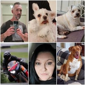 Meet your Posher, Wayne